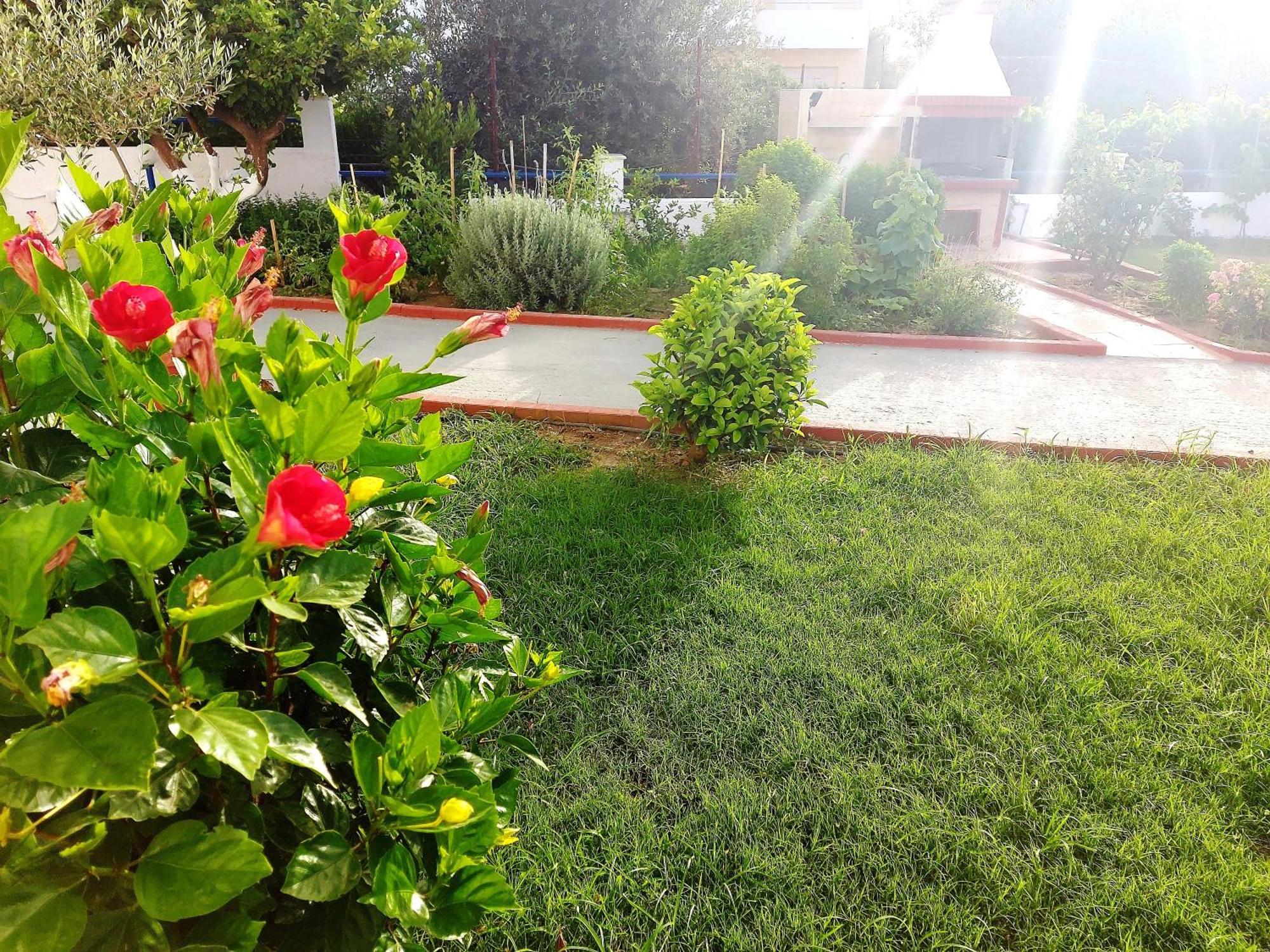 Villa Maroula أفانتو المظهر الخارجي الصورة
